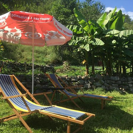 La Auarje: Appartement Avec Jardin & Terrasse Cierp ภายนอก รูปภาพ