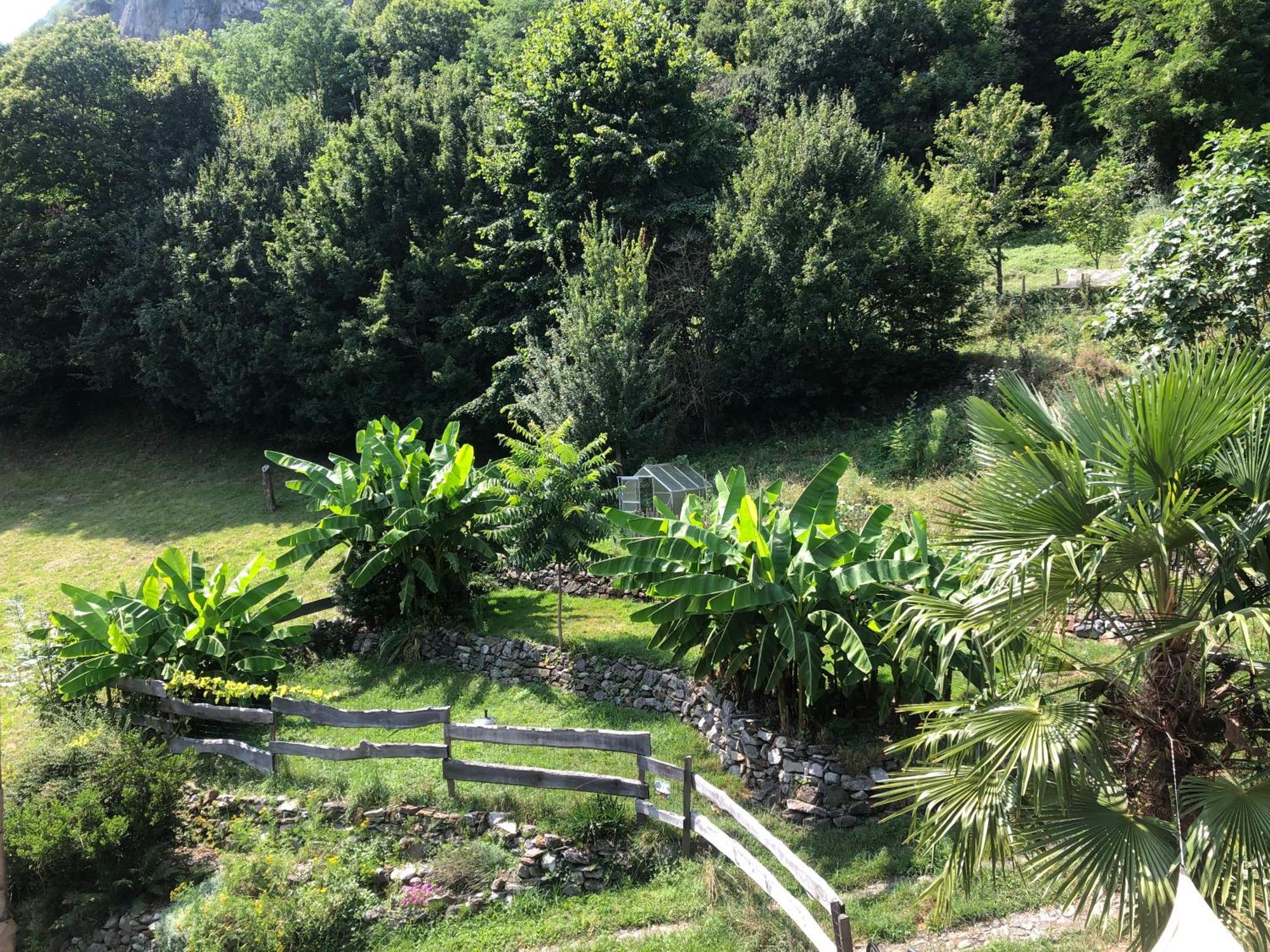 La Auarje: Appartement Avec Jardin & Terrasse Cierp ภายนอก รูปภาพ